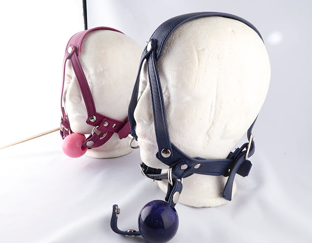 Copy of Playdate Ball gag Harness
