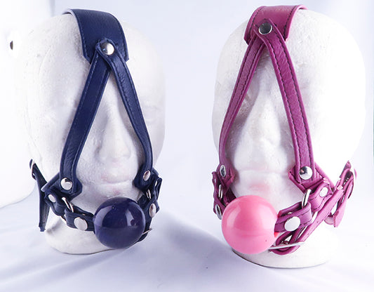 Playdate Ball gag Harness