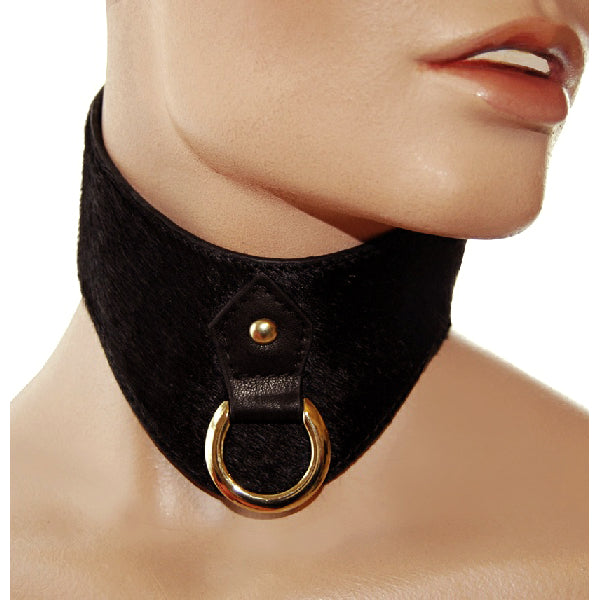 Model Traitor Pony Posture Collar
