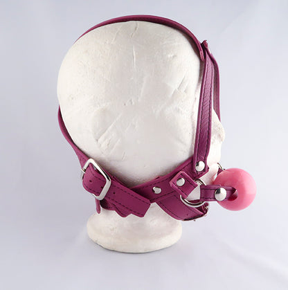 Copy of Playdate Ball gag Harness