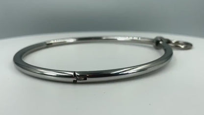 Silver Stainless Steel collar
